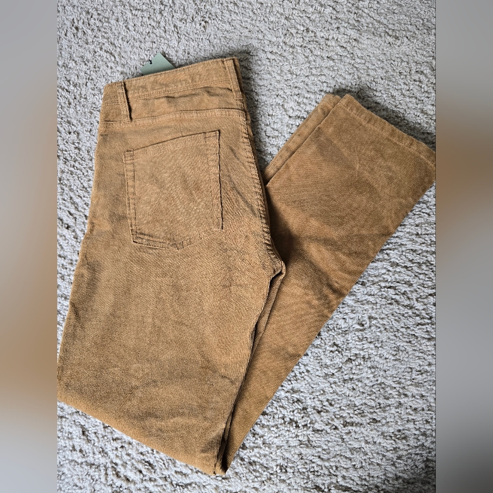 NWT Goodfellow & Co Men's Brown Corduroy Pants SZ. 34x32 - Picture 2 of 5